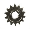 PSS T14 Import | 13T | ren257--428-13GP